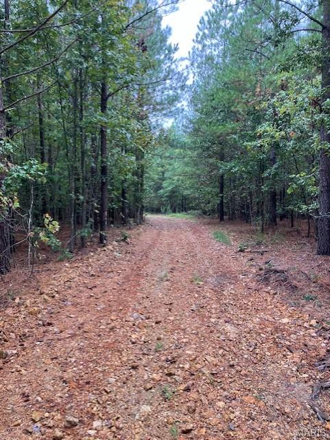 Cherokee Pass - Land