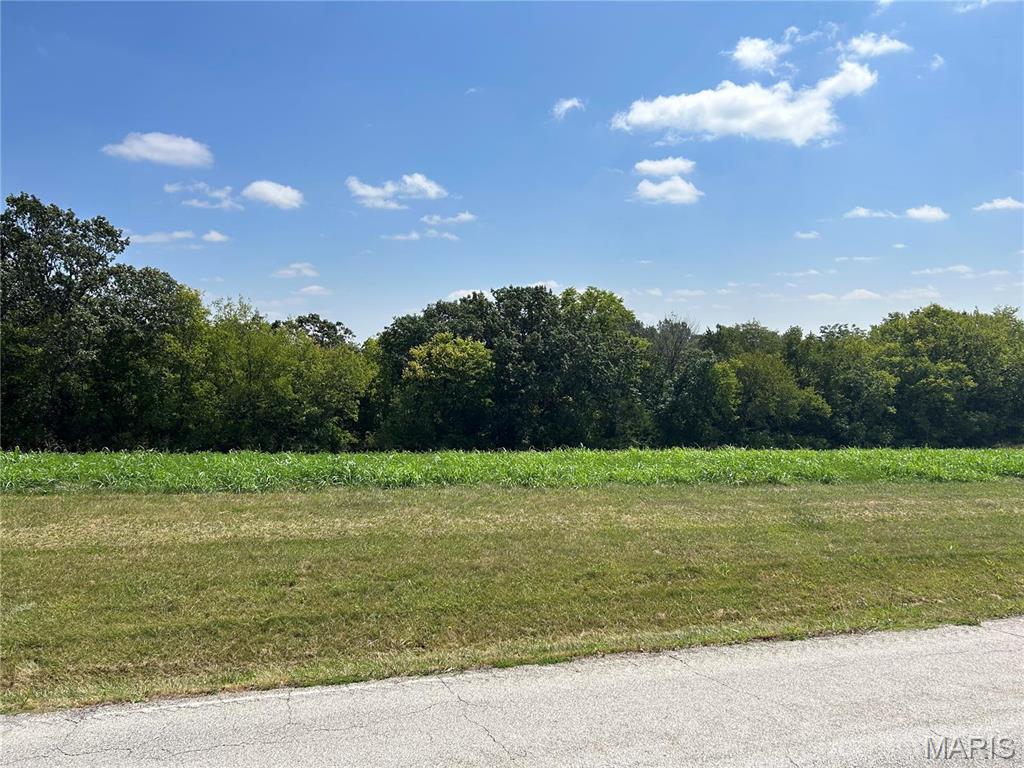 Excellent Hilltop Building site for Home, barn, pond. Southern facing gently sloping 2/3 wooded with 1.5 ac in agricultural crop production. NO restrictions, County  water at Old Hwy 100. Winter views  Approximate corners are flagged with orange tape.