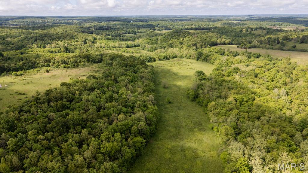 Welcome to an exceptional opportunity to own 442 +/- diverse acres on the edge of Camden County, just 40 minutes from the Lake of the Ozarks’ vibrant communities of Camdenton and Osage Beach. This property offers the perfect blend of seclusion and accessibility, located only 4 miles from Richland, Missouri, for all your basic amenities and boasting convenient highway frontage. This expansive tract is an outdoor enthusiast's dream, featuring an extensive trail system winding through 30% open pasture and 70% mature hardwood timber. Fertile creek bottom ground and a wet-weather creek enhance the natural appeal, creating ideal conditions for wildlife habitat and agricultural use. Deer and turkey are abundant, with multiple stand locations already established for hunting. Whether you're seeking a prime recreational getaway, hunting retreat, or a future homestead, this land has everything you need - including power, a well, and a septic system already on site.