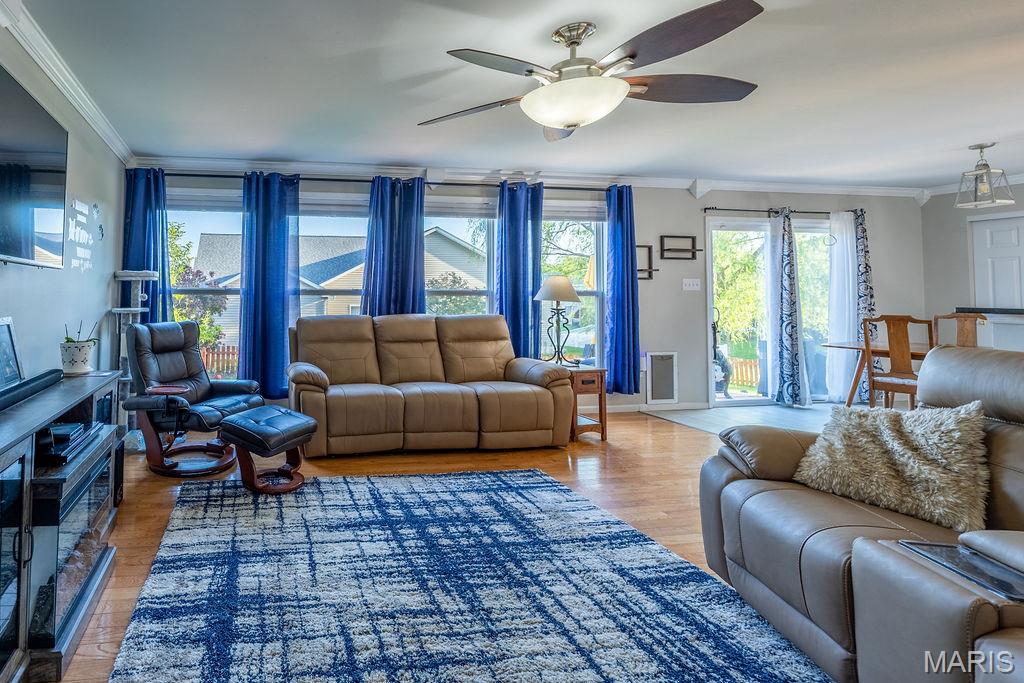 Newport Meadow #1 - Residential