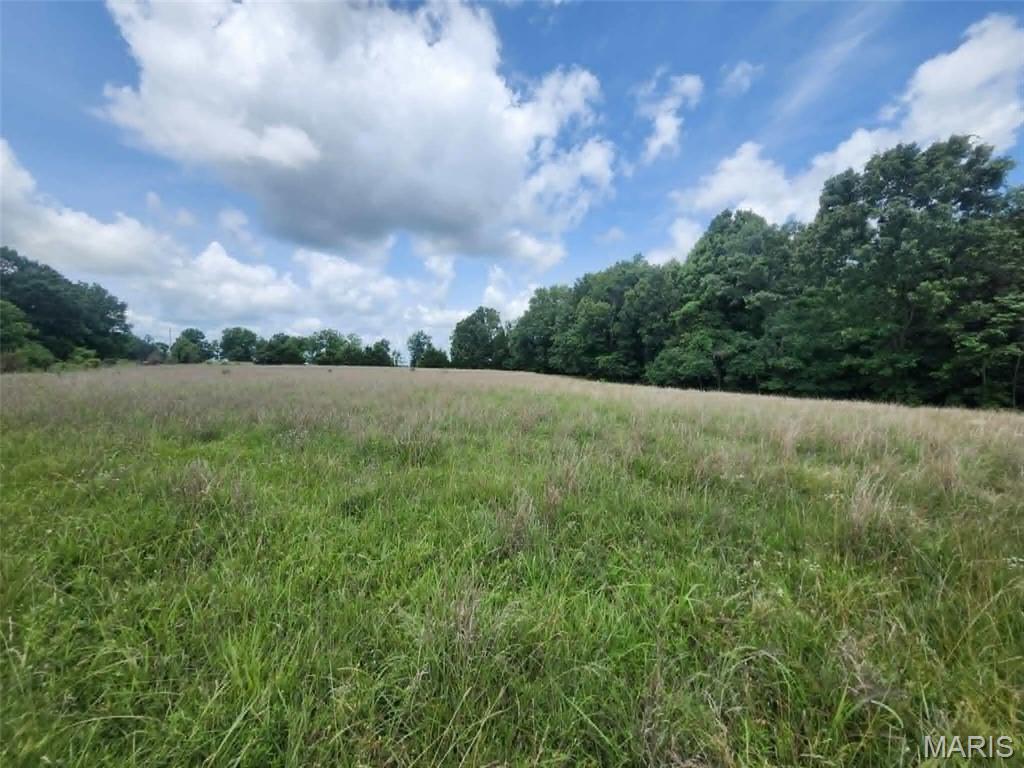 Discover the freedom of the Missouri Ozarks with this exceptional 6-acre M/L unrestricted tract in Texas County Missouri. Located 20 min from Mountain View, Mo 65548 nearby home to Elk/Loggers and wild Horses. This land is just about 1 mile from the Jacks Fork River!!!!!!!!!!!!!!!!!! A beautiful mix of open and timber, Goat and sheep fence on the back line of property, Power in place and ready for you to set your meter pole. Access is way above normal with many spots for your drive/Home site.