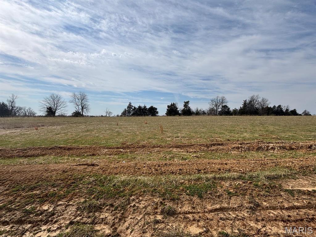 Berry Place Development - Land