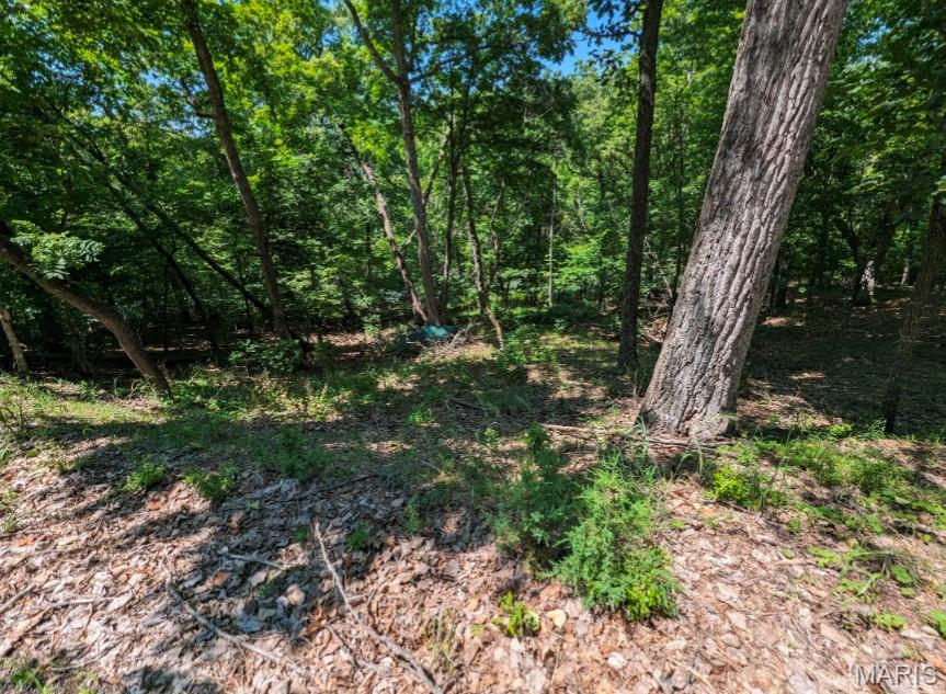 Lake Sherwood Estates - Land
