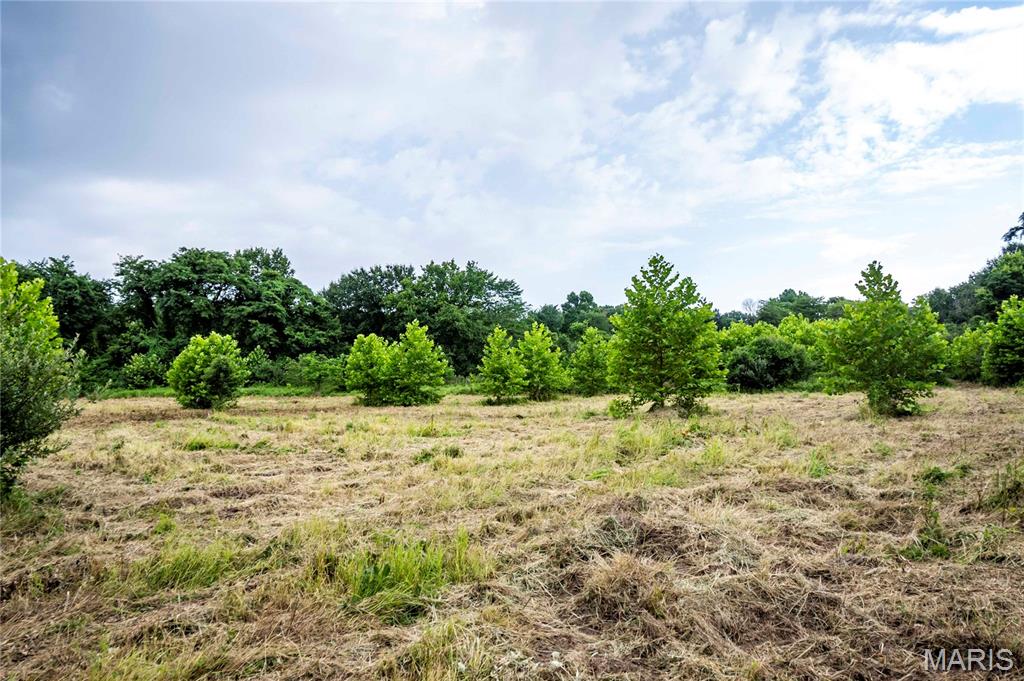 Spring House Meadows - Land