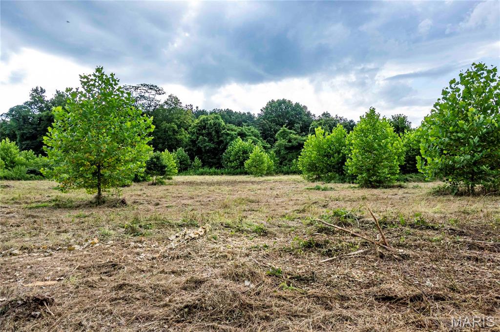 Spring House Meadows - Land