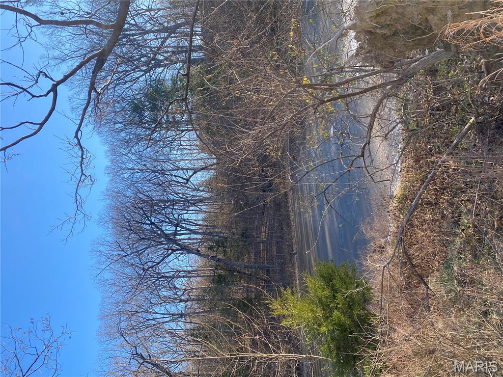 SURROUNDED BY TREES AND UPSCALE HOMES, THIS 27.5 ACRE PROPERTY IN WILDWOOD IS VERSATILE AND PRIVATE. PERFECT FOR LARGE ESTATE, SUBDIVIDING OR RECREATION.  FRONTS TO MANCHESTER ROAD.  CALL FOR MORE DETAILS