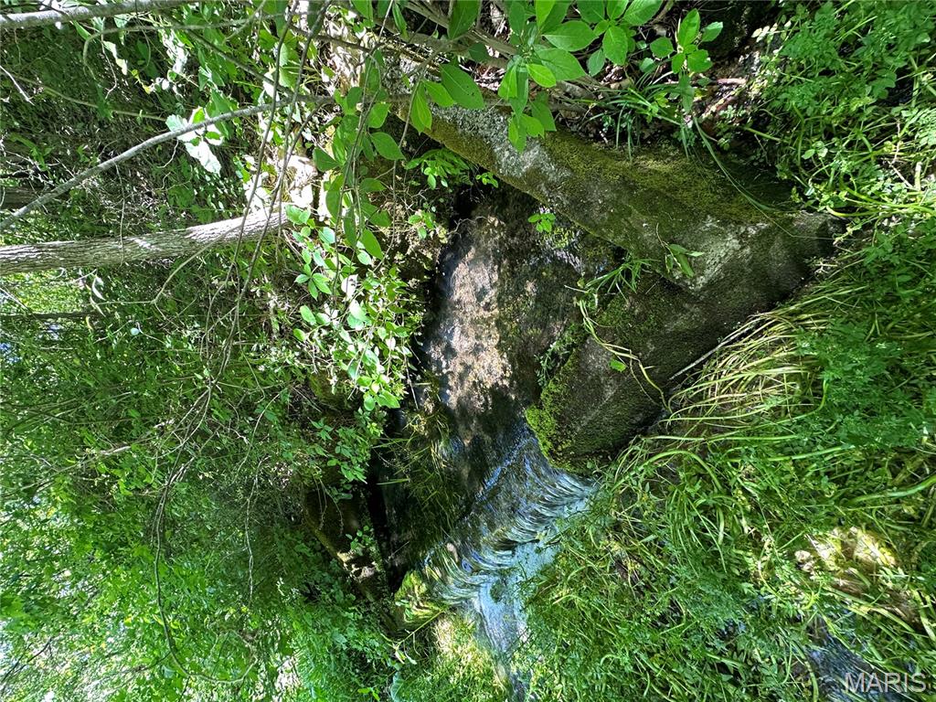 This beautiful property is located just west of Ellsinore and accessed through a clean, deeded and recorded easement off of Carter 224. Large tracts of this size are becoming rarer everyday, so do not miss your chance to call this one your own. This property consists of multiple springs and wildlife ponds, which provide a great water source to the abundant amount of wildlife in the area. The several food plot locations attract wildlife, but would also serve as ideal building spots for your future dream home or weekend getaway. Current River is nearby providing amazing fishing, floating, and boating opportunities. Thousands of acres of Mark Twain National Forest and Missouri Conservation ground are also in the area, making the hunting opportunity endless. If you're looking for big acreage that is ready to hunt, with limitless possibilities, then this is a must-see! Call today to schedule your own private tour.