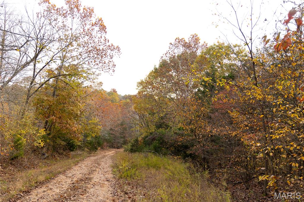Kingston Lake Estates - Land