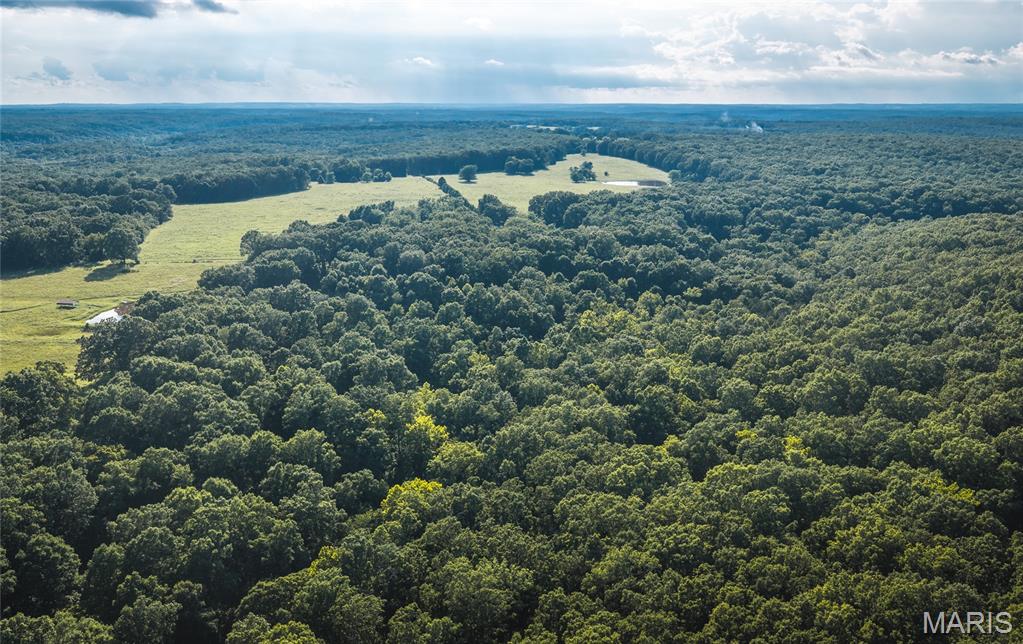 Discover the perfect blend of recreation and future homesite potential with this 40 m/l acre tract located just minutes from the Gasconade River. Featuring gently rolling, highly usable terrain and an abundance of road frontage, this property offers exceptional accessibility while maintaining the privacy and natural beauty buyers are looking for.

The land is covered with a healthy mix of mature hardwoods and cedars, creating ideal habitat for wildlife and providing outstanding deer and turkey hunting. Several natural travel corridors and stand locations make this a property hunters will appreciate season after season.

Whether you're looking to build your dream home, establish a weekend getaway, or create the ultimate hunting retreat, this property is ready for your vision. A completed perc test has already been performed for a future septic system, and electricity is conveniently available at the road, making the building process even easier.

With excellent hunting, build-ready improvements, beautiful timber, and a prime location near the Gasconade River, this versatile 40-acre tract offers endless possibilities. Hunt in the morning, build your dream home, and enjoy everything the Missouri outdoors has to offer—all on one exceptional property.