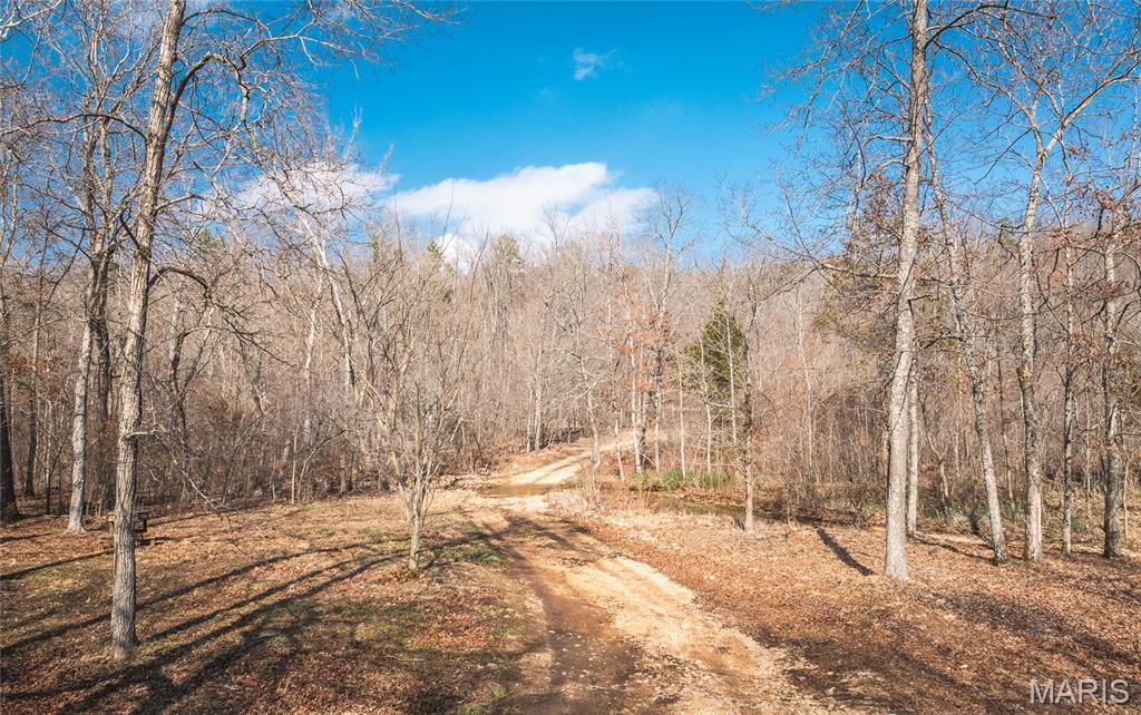 Rare opportunity to acquire 300+ acres of rural paradise.  The main clearing is suitable for self-sustaining agriculture or animal pasture and has an additional shelter for equipment and or livestick. Incredible hunting for deer, hog, and turkey. Short ATV ride to Taum Sauk reserve/park for great fishing and camping. Seller will not subdivide. There is also another plot of approx. 20 acres that has several buildings including a primary residence, that can be added into the sale for an additonal price.
