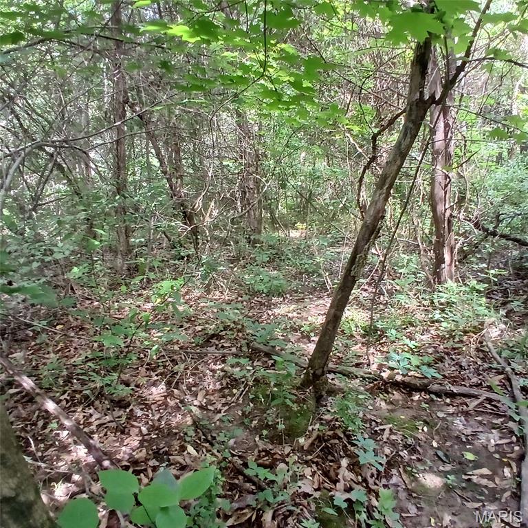 Iron Mtn Lake - Land