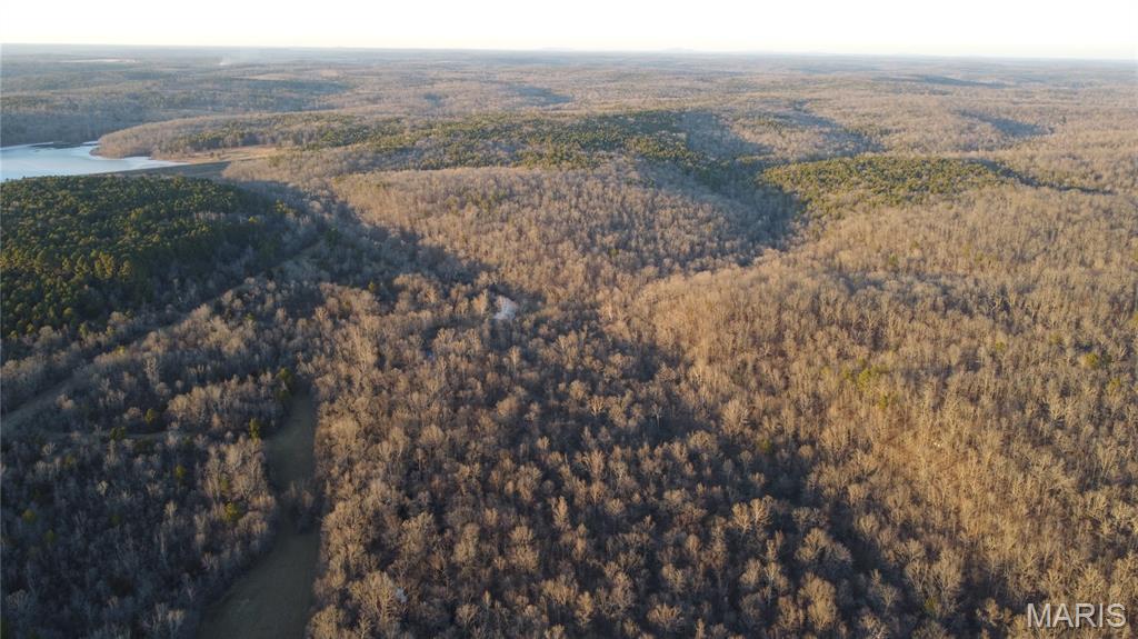 The Hoot Owl Ranch: A 1,356-Acre Turn-Key Hunting Legacy
   Rarely does a property with such meticulous preparation enter the market. 698 Hoot Owl Lane is an impressive 1,356 +/- acre hunting paradise nestled in the rugged Ozark foothills of Ripley County, just 30 minutes from Poplar Bluff. This is not merely a tract of land; it is a fully engineered wildlife sanctuary designed for the elite hunter. The property features a sophisticated internal infrastructure with miles of accessible trails and over 20 established food plots, all strategically positioned to leverage the land’s natural travel corridors. Predominantly comprised of managed timber thinned for optimal wildlife support, the farm boasts an incredible diversity of habitat including rolling ridges, deep hollows, and fertile bottomlands anchored by two year-round creeks.

   Water is a foundational asset of this estate, featuring the North Prong of Beaver Dam Creek and sections of Hurricane Creek flowing through the property. These live water systems, complemented by multiple natural springs and strategic stock ponds, provide a permanent and abundant water source for both livestock and wildlife.

   To further enhance its exclusivity, the acreage adjoins government land and other sizeable ranches, effectively extending your hunting range and ensuring a fortress of privacy from future development. The residential and utility components of the farm are as robust as the land itself. A low maintenace 4-bedroom, 2-bathroom lodge serves as the ultimate basecamp, offering a warm, wood-burning fireplace and 2,000 square feet of comfortable living space to recount the day's hunt. The compound is built for function, storage and maintenance, featuring garages and carports for the whole fleet, a dedicated workshop/hobby area, and multiple outbuildings. Offered as a completely turn-key retreat, the sale includes established blinds, feeders, and essential equipment, allowing the new owner to step into 2 decades of habitat management on day one. Properties of this magnitude—possessing both the infrastructure for trophy whitetail and turkey and the acreage to sustain a generational legacy—are becoming a vanishing breed in the American Midwest.