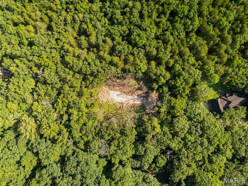 Rockwood Forest 2 - Land