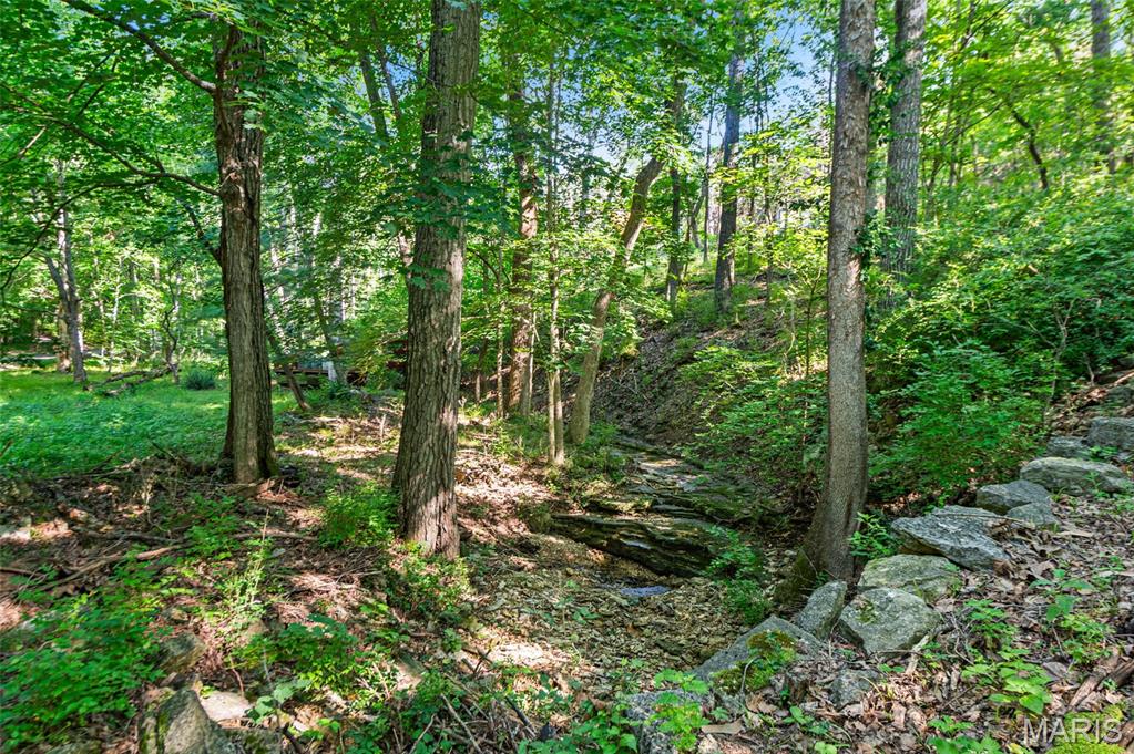 Rockwood Forest 2 - Land