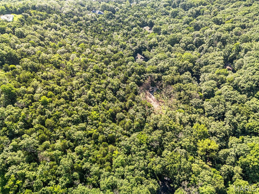 Rockwood Forest 2 - Land
