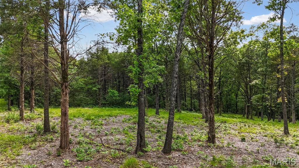 Discover the perfect blend of privacy, beauty, and convenience with this stunning 10+ acre property tucked away on a private road. Featuring a large park-like setting that is mostly cleared with gorgeous mature trees, this secluded property offers the ideal backdrop to build your dream home with a walkout basement. Enjoy peaceful country living while still being conveniently located near highways, restaurants, grocery stores, and only 35 minutes from St. Louis. Plenty of room to create your own outdoor oasis with space for a pool, entertaining area, or outbuilding. No mobile homes permitted. Some deed restrictions, minimum square footage,  and an annual road maintenance. Don't miss out!