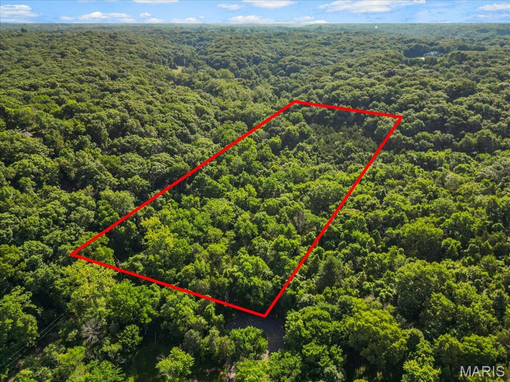 Black Bear Ridge Estates - Land