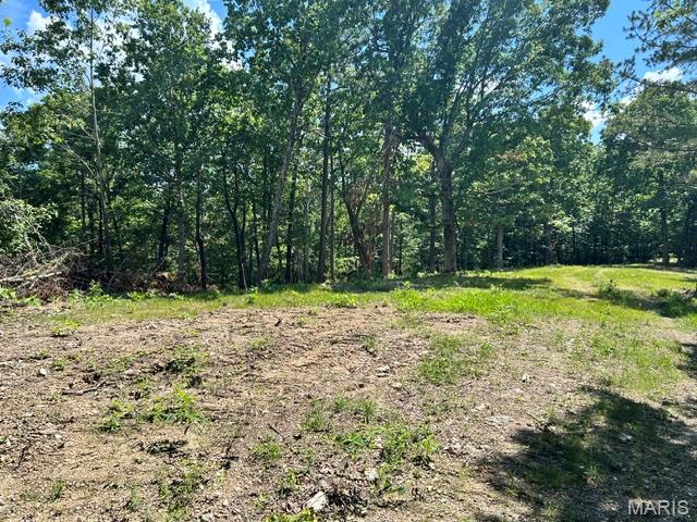 Spread across 80 acres this wooded Missouri retreat offers the kind of privacy, quiet, and open possibility that's getting harder to find. Towering Timber, Natural wildlife corridors and landscape that feels untouched. Wooded acreage has mature hardwoods  offering a valuable monetary resource. Private road access by permit with Forest Service. No restrictions or HOA Rules.  Just waiting for your final touches. Open areas for camping and large pond for water source. This property cannot be located by address. Call for Directions.