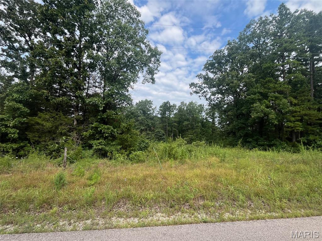 Discover 20.81 acres of opportunity with this beautiful unrestricted property offering endless possibilities. Bordering Mark Twain National Forest along the back and one side, you'll enjoy direct access to acres of public land for hunting, hiking, and outdoor recreation.
Whether you're looking to build your dream home, establish a hunting retreat, start a hobby farm, or simply invest in land with incredible potential, this property is ready for your vision. With road frontage for easy access, electric along the front of the property, and no known restrictions, you have the freedom to create the lifestyle you've been looking for. Blount Cemetary is at the corner of the property and has a legal access driveway. 
This one is a must see!