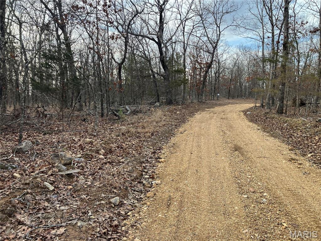 Wooded rural acreage with electricity and gravel road access along the western boundary. But what if it was close to Mark Twain National Forest and provided access to spring-fed 12-Mile Creek ... a landowner's dream come true. 
This small affordable Ozark oasis comes with NO restrictions. 
Hunt, camp, build, ride ATVs, and fish or play in the water, too. The opportunities are endless.
This property is wooded and rolling. You are less than a mile from the 22,176-acre Mark Twain National Forest ... public ground where you can hunt, ride and explore. Yet you're only about 1.5 miles by road from U.S. 67 for quick and easy access.
Use this affordable 10.02 acres as a base camp for adventure. This and surrounding acreage is teeming with deer, turkey and small game. Owning it affords you access to a 3-acre shared stretch of 12 Mile Creek and gravel bar.
This piece will sell fast, so call today and line up a time to take a look.
