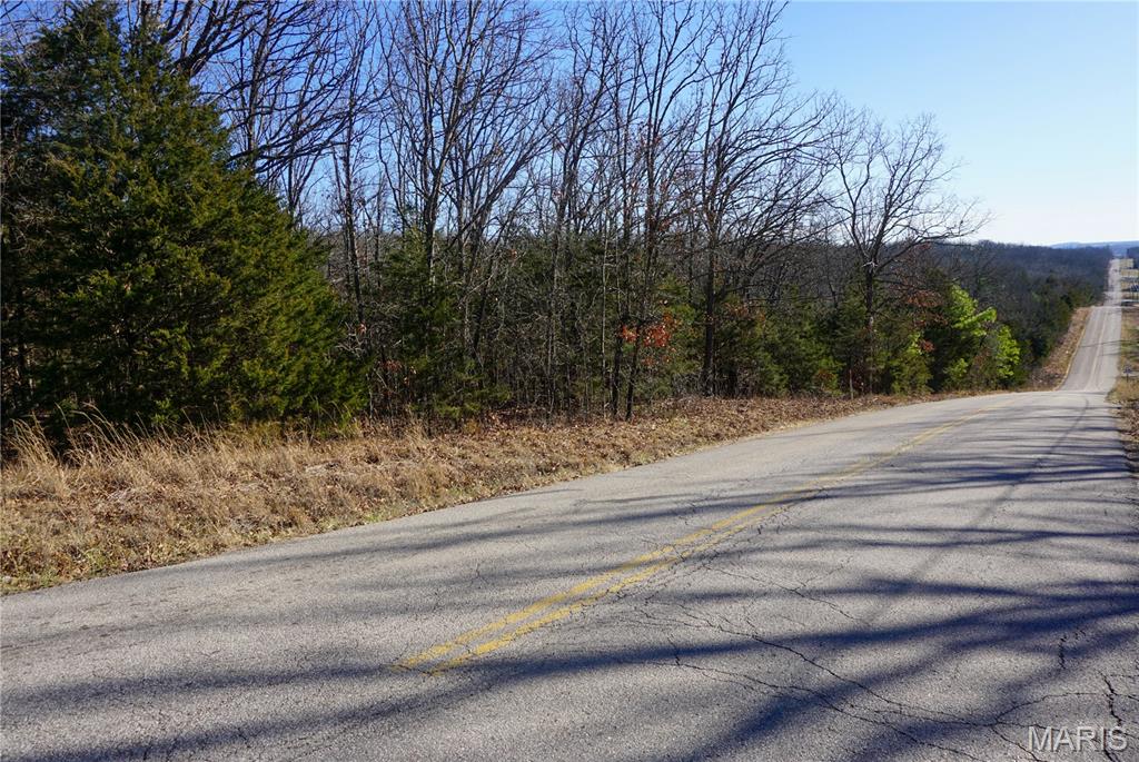 Seize the opportunity to own this picturesque wooded tract conveniently located on the corner of Sally Road and Hwy Y. Spanning 14.44 m/l acres, this property offers the perfect balance of privacy and accessibility—just a short drive from town. Rural water is available, making it ideal for building your dream home or a peaceful retreat surrounded by nature. Enjoy the serene setting, mature trees, and the natural beauty this area has to offer, all while still being close to everyday conveniences. A rare find like this won’t last long!