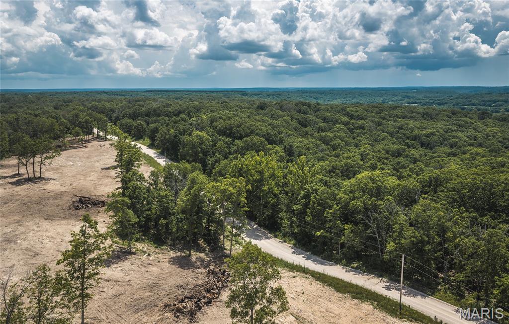 40 m/l acre tract located in Camden County. This tract has mature, old growth ,marketable timber. Great deer and turkey hunting with an established food plot several potential building spots, electric on site and a wet weather creek running through.  Close proximity to the little Niangua creek and Lake Of the Ozarks for great fishing and recreation. An access road is being put in the center between the tracts and will have an electric access easement in place along it. More tracts available. Tracts to be surveyed. Owner will entertain selling other options.