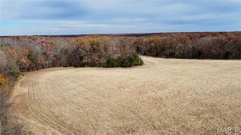 Polston Farms - Farm