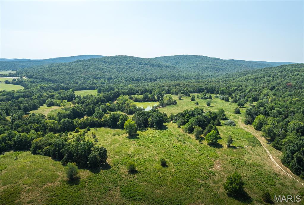 Roselle - Farm