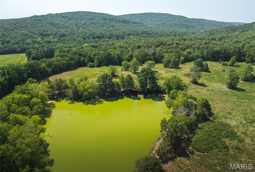 There are not many large tracts of land like this left for sale. This is a rare opportunity to own a beautiful 420 acre farm. This farm has nearly 100 acres of fields, over 300 acres of timber, a pond, and with over 900 yards of beautiful Stouts Creek boarding it and is  packed with wildlife. This property is fully fenced and cross fenced for cattle. If you like views, this place has some. There are beautiful mountainous views from different places on the property. This is an old hunting cabin with some good bones but needs a little TLC. AND...if the 420 acres of property isn't enough to explore it boarders 23,645 acres of national forest. Hunting, fishing, farming, or build your dream home. As you can tell, this property has it all! Don't miss this opportunity.