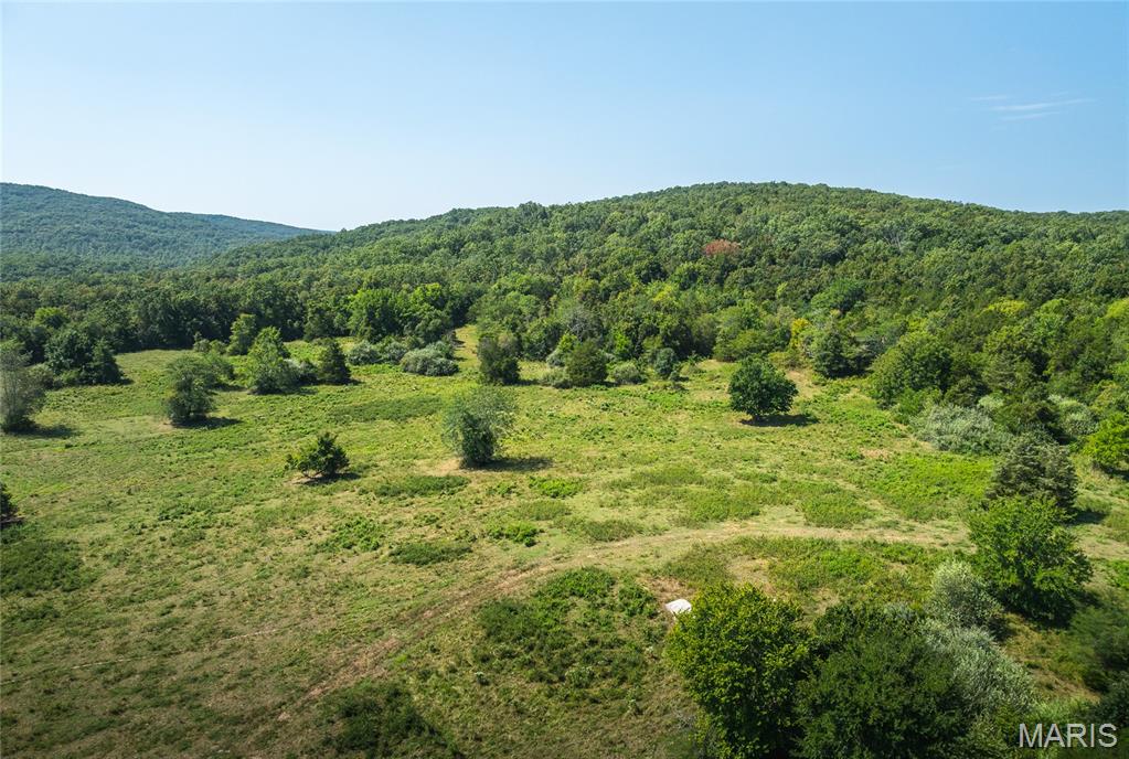 Roselle - Farm