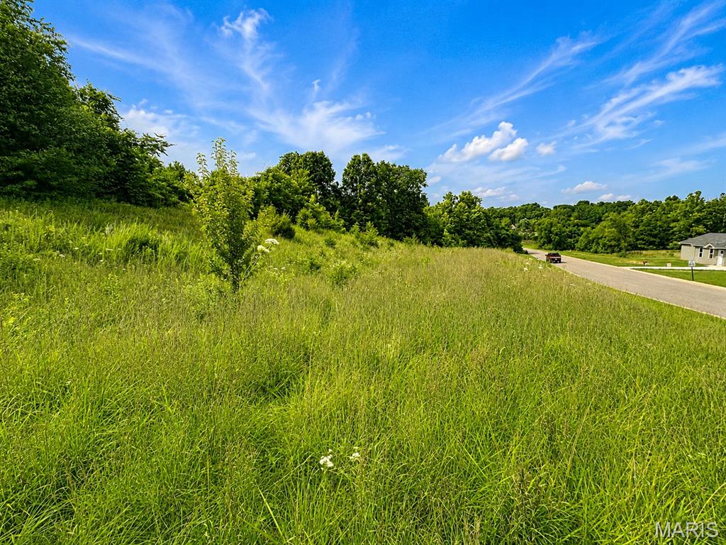 Trentmann Estates - Land