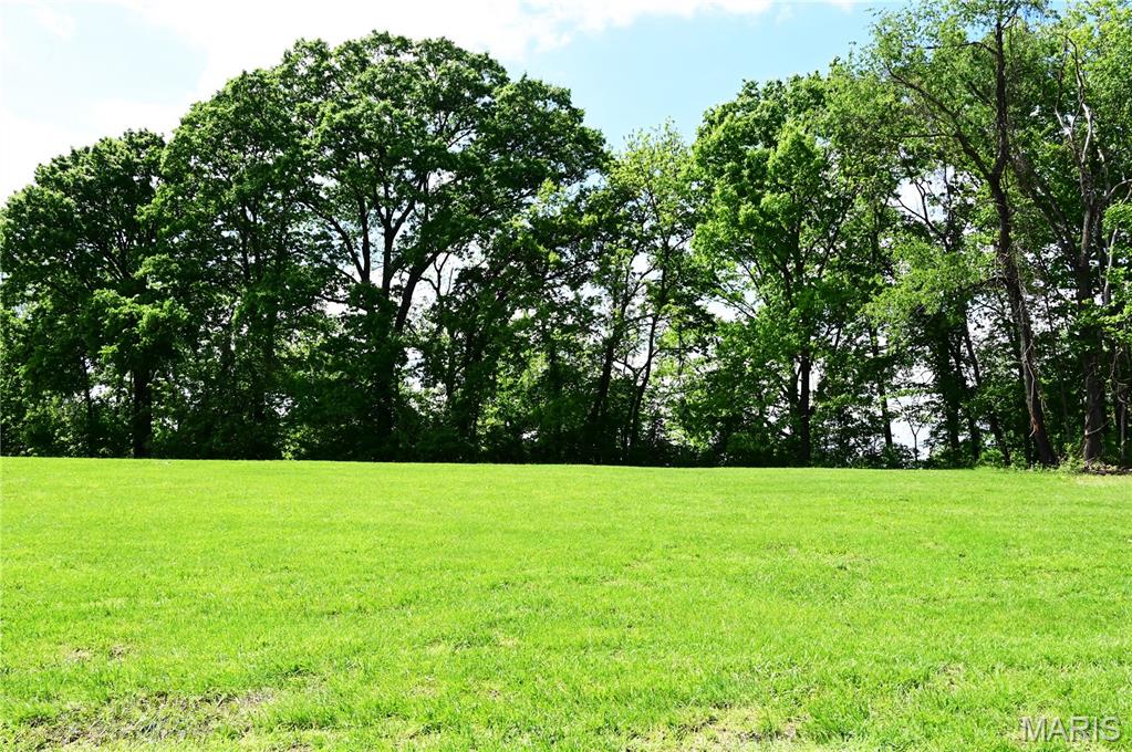 Woods Mill - Land