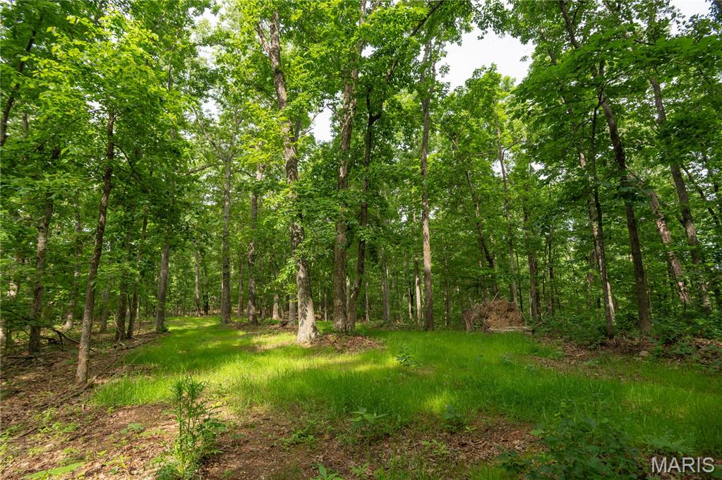 Rare opportunity to own 40 private acres just minutes from Black River, Sam A. Baker park, and Clearwater Lake, featuring prime hunting land with thriving deer and turkey populations. Property includes an established food plot, hilly terrain with peaceful valleys, several picturesque building sites, and valuable marketable timber. A perfect blend of seclusion, recreation, and natural beauty.
