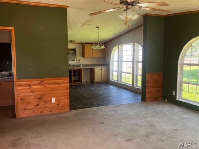 Earl Jones Addition - Residential