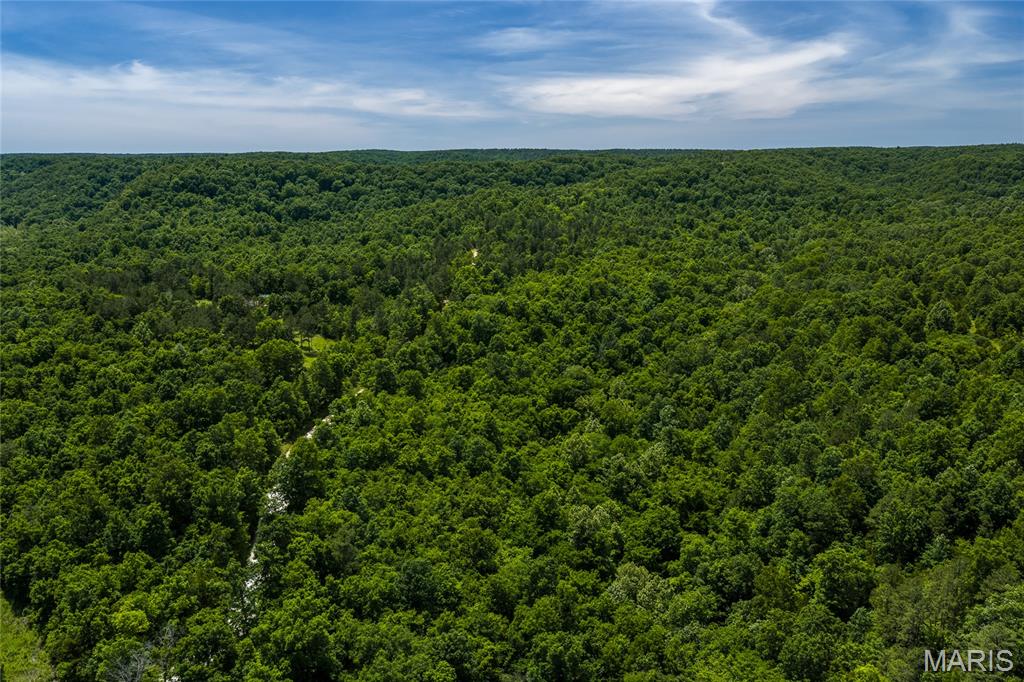 54.5 m/l acres of land offering the privacy and seclusion that outdoor enthusiasts and future homeowners are looking for. The property features a spring and private creek running through the length of the property. Excellent deer and turkey hunting with abundant wildlife throughout. Several trails throughout the property for recreation and to take in the scenery. Whether you're searching for a recreational getaway, hunting retreat, or a private location to build your dream home, this tract offers plenty of possibilities. Existing gravel driveway for access to property with sewer, electric and water nearby and multiple build sites throughout making future building more convenient.