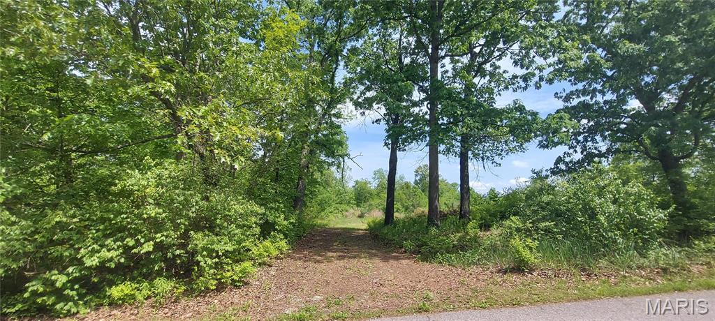 Bring your dreams and build here on this amazing 3+ acre lot, located on a Dead End, private road with less than 10 houses on it!  Set back off the road and through some trees, this beautiful, peaceful property is partially cleared & wooded with a small creek in the back attracting amazing wildlife. Located in the gorgeous New Melle area of Unincorporated St. Charles County in the Francis Howell School District (Foristell Postal).  At some point in the past (before current ownership) the property hosted a mobile home on Well & Septic.  Property will be sold "AS-IS, WHERE-IS" with buyer being responsible for any/all inspections and/or municipal/county code requirements.