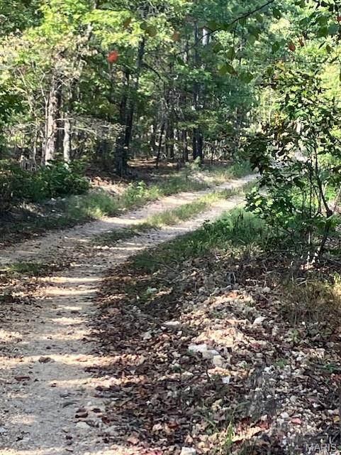 Wooded rural acreage with electricity and gravel road access along the northern and eastern boundaries .. it doesn't get much better. But what if it was close to Mark Twain National Forest and provided access to spring-fed 12-Mile Creek ... a landowner's dream come true. 
This small affordable Ozark oasis comes with NO restrictions. 
Hunt, camp, build, ride ATVs, and fish or play in the water, too. The opportunities are endless.
This property is wooded and rolling. You are less than a mile from the 22,176-acre Mark Twain National Forest ... public ground where you can hunt, ride and explore. Yet you're only about 1.5 miles by road from U.S. 67 for quick and easy access.
Use this affordable 6.295 acres as a base camp for adventure. This and surrounding acreage is teeming with deer, turkey and small game. Owning it affords you access to a 3-acre shared stretch of 12 Mile Creek and gravel bar.
This piece will sell fast, so call today and line up a time to take a look.