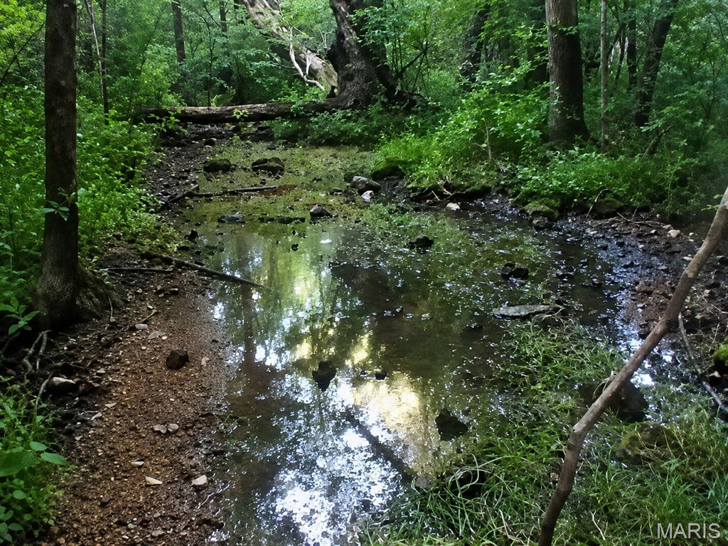 Discover the beauty and privacy of the Ozarks with this exceptional 162+/- acre property in the Viburnum area. Tucked away at the end of a dead-end road, this mostly wooded tract offers outstanding seclusion and endless opportunities for recreation, hunting, or building your dream retreat. The land features gently rolling terrain, mature timber, a beautiful spring, and a year-round creek winding through the property, creating a peaceful setting rich with wildlife. A nice, cleared camping area is already in place, making it easy to start enjoying the property right away. Bordering extensive National Forest land, you'll have access to thousands of additional acres to explore right from your doorstep. Whether you're seeking a private getaway, hunting property, or investment in Missouri timberland, this rare offering has all the ingredients for an unforgettable outdoor escape.