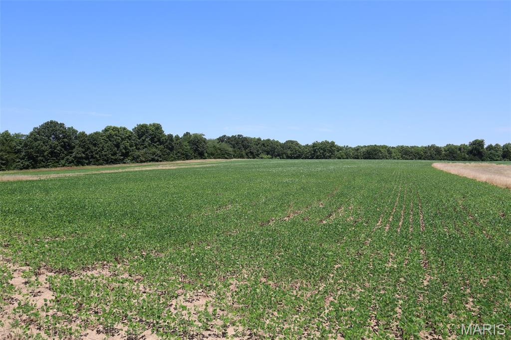 N/A - Farm
