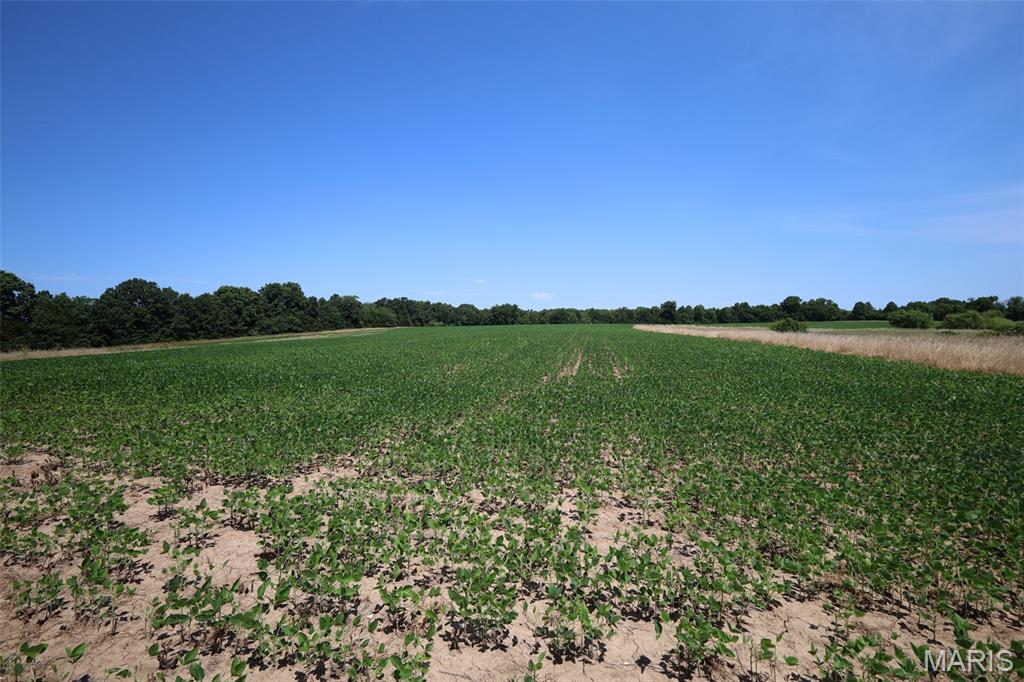 N/A - Farm