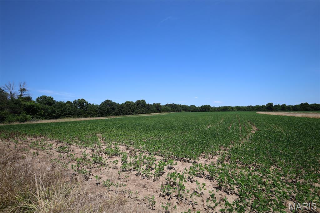 N/A - Farm