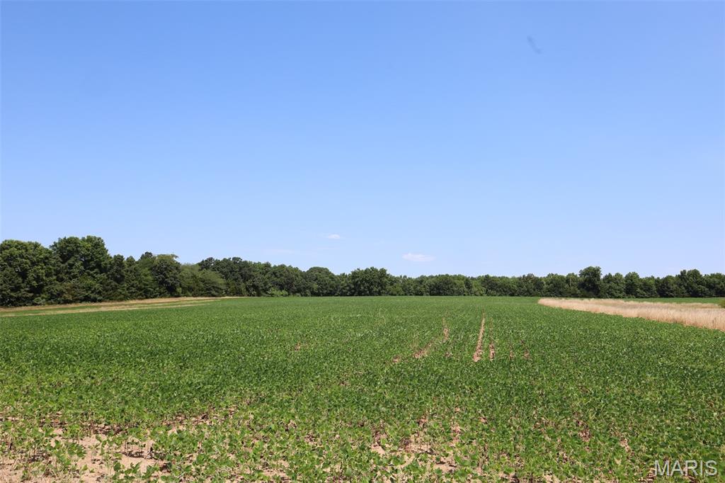 N/A - Farm