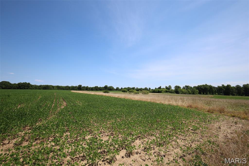 N/A - Farm