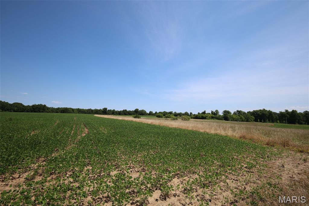 N/A - Farm