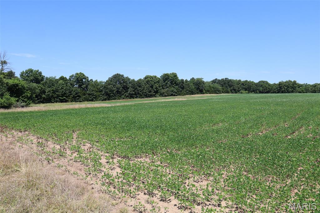 N/A - Farm
