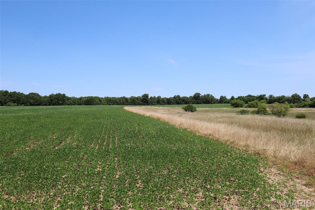 N/A - Farm