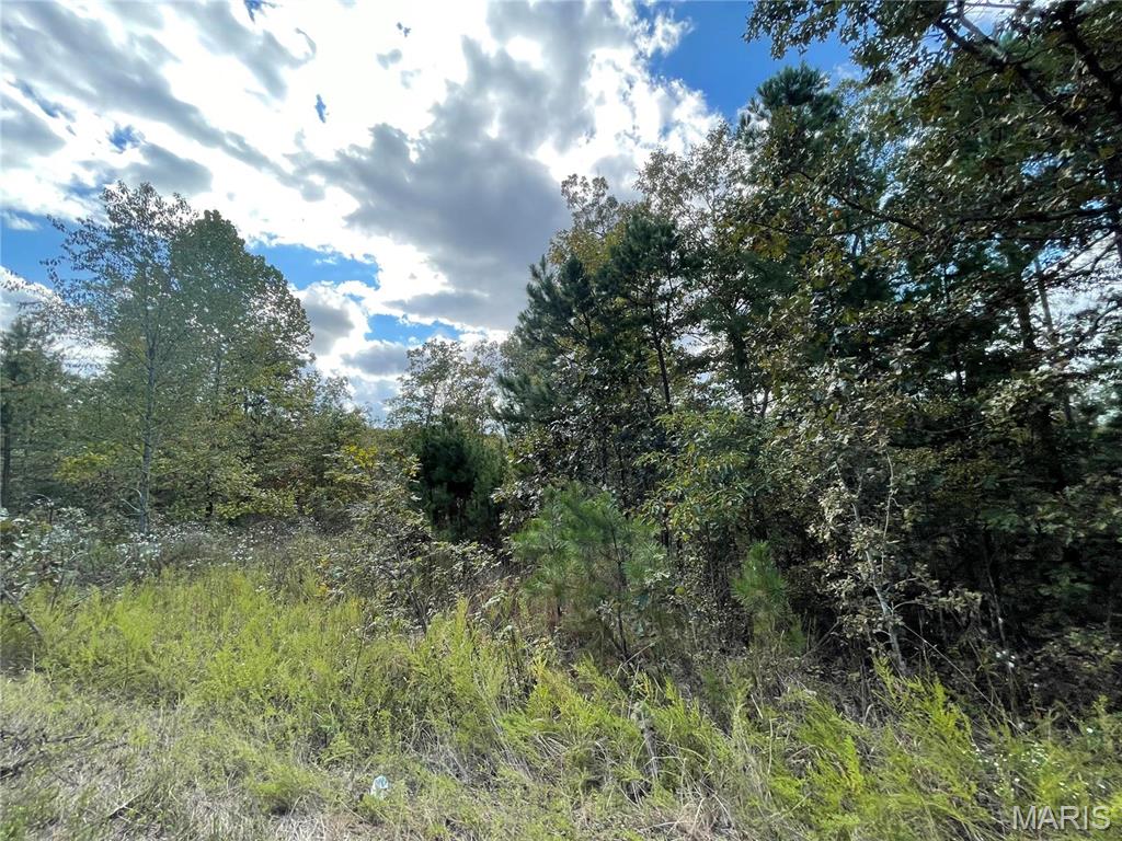 Woodland Heights - Land