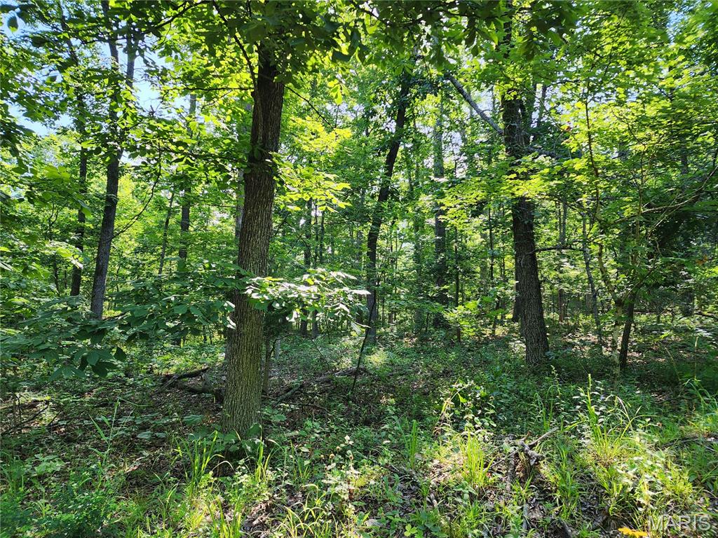 Black River Retreat #2 - Land