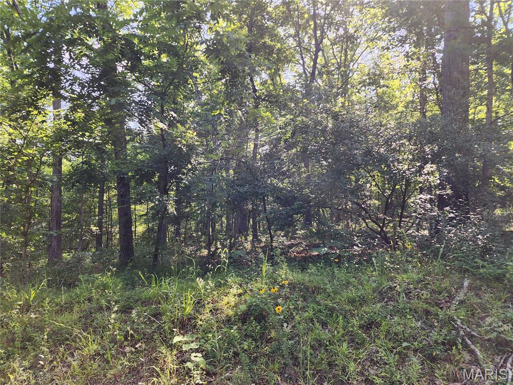 Black River Retreat #2 - Land