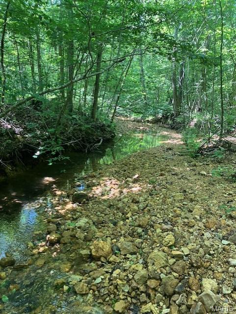 This 5.001 acres has deeded gravel road access, a small spring-fed stream running along one boundary, and sits only a few hundred yards from Mark Twain National Forest.
It's a hunting or homesteading paradise. Or use is simply as a great home or cabin or camping site.
You'll have a deeded access road to the property. This secluded valley oasis comes with NO restrictions.
Hunt, camp, build, ride ATVs on your own land, or just a short hike or drive and you'll be in the picturesque and pristine 22,176-acre section of Mark Twain National Forest ... public ground where you can also hunt, ride and explore. All this, and only about two miles a paved state road. 
Use this wooded, secluded property as a base camp for adventure or build your forever home and live out your days in secluded bliss. This and surrounding land is teeming with deer, turkey and small game, and the occasional feral hog or maybe a black bear. There is additional acres available which adjoin this piece if interested.